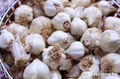 полезни чеснови капки