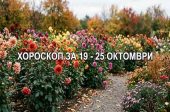 Хороскоп за 19 - 25 октомври