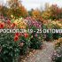Хороскоп за 19 - 25 октомври