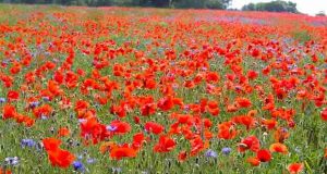 хороскоп за май 2026