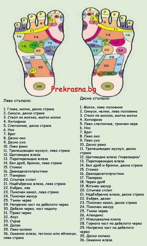 стъпалата