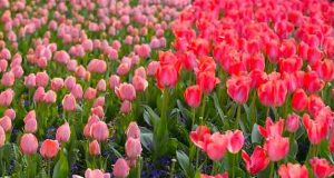 Хороскоп за април 2026