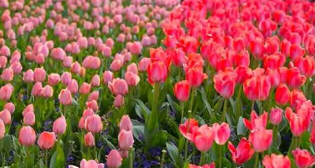 Хороскоп за април 2026