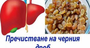 пречистване на черния дроб